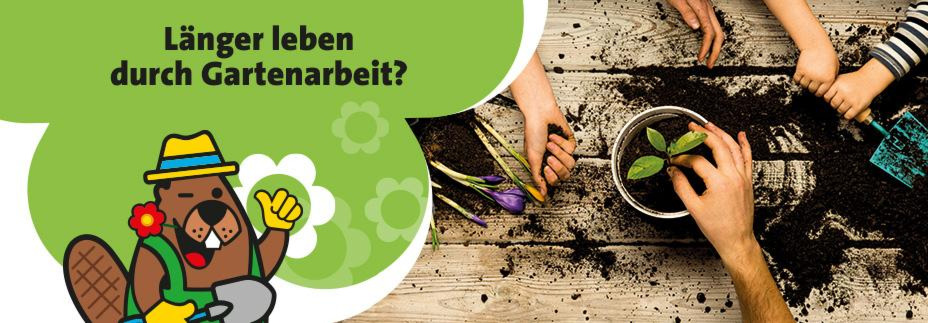 Header gesund alt werden