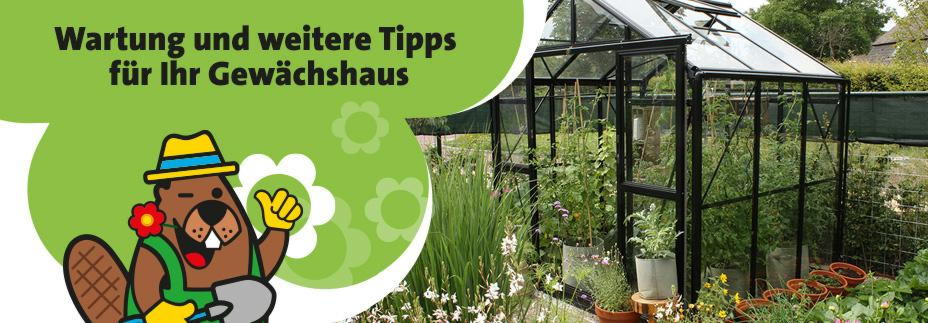 Wie pflege ich mein Gewächshaus?